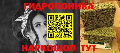 apvp Кандалакша
