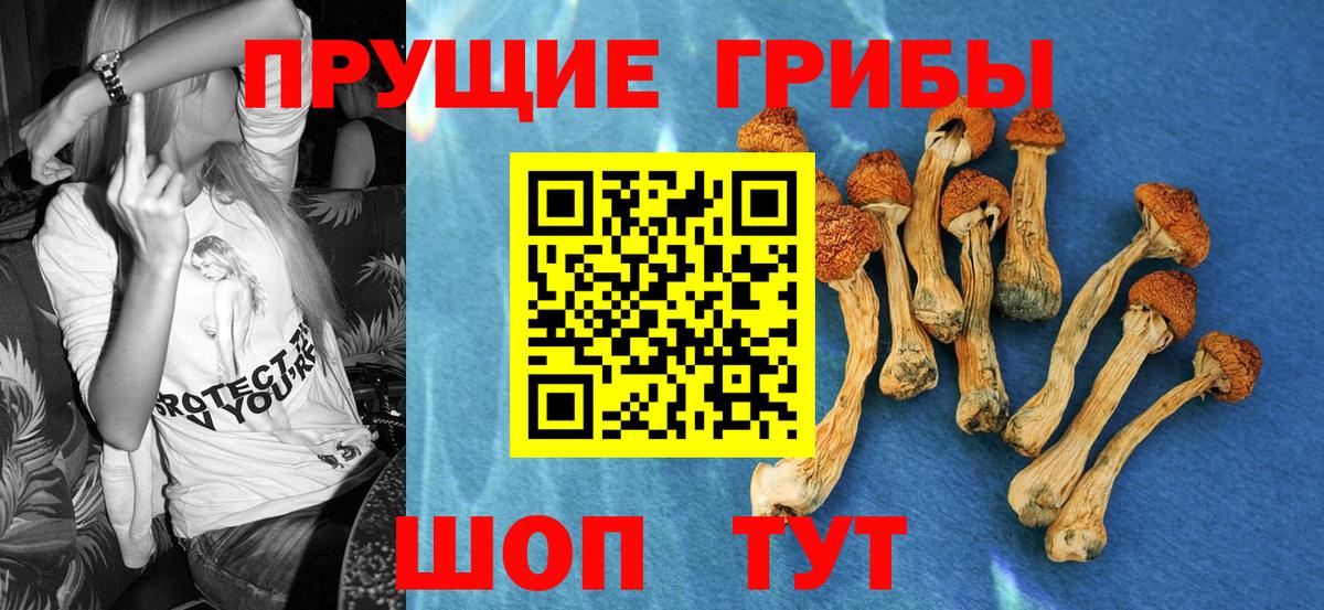 Псилоцибиновые грибы MAGIC MUSHROOMS Чебаркуль