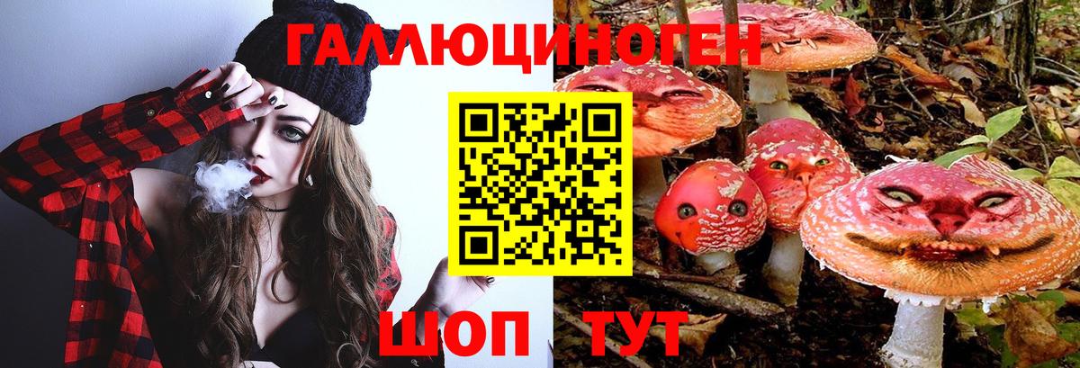 Галлюциногенные грибы мухоморы  Вход с VPN  Галлюциногенные грибы GOLDEN TEACHER  Чебаркуль 